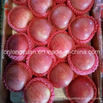 Red Fresh Qinguan Apple pour l&#39;Inde
